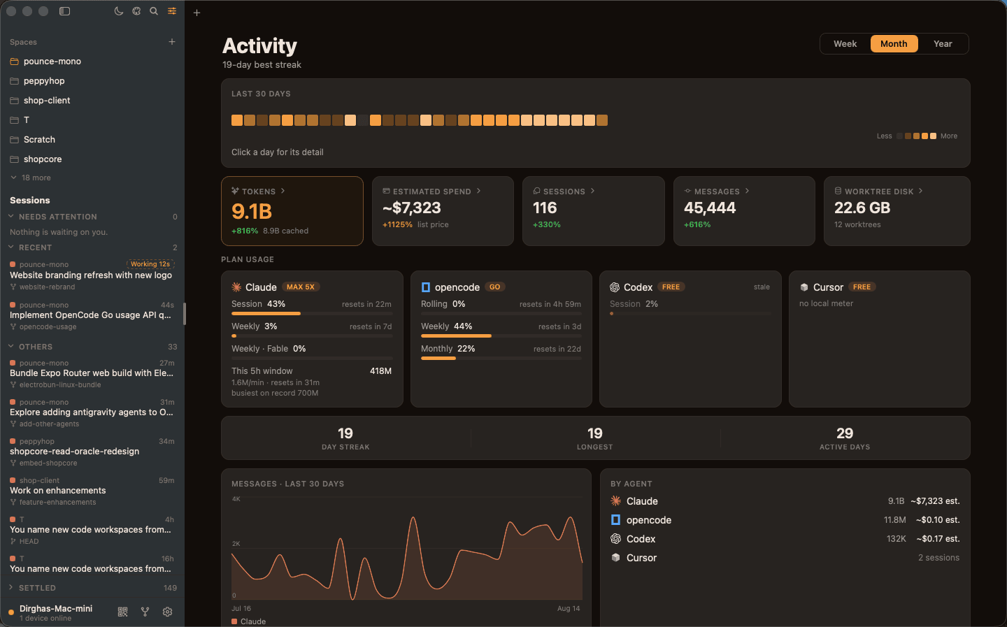 The Pounce desktop app — Spaces sidebar, sessions grouped by what needs attention, and the activity dashboard with tokens, spend, worktree disk and per-plan usage
